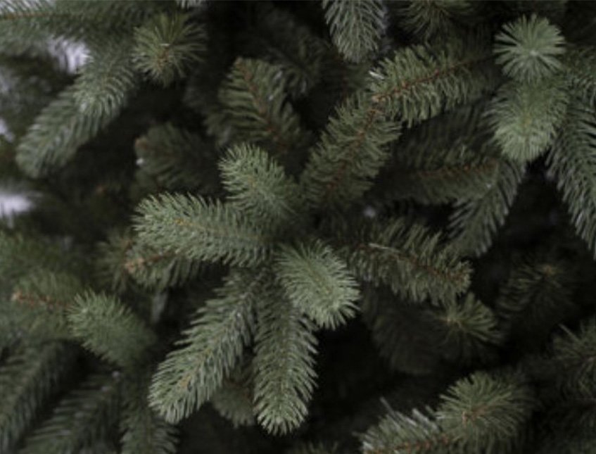 Albero Nigata abete verde  - Sconti per Fioristi e Aziende . - H 152/183/213/244 in PE+PVC