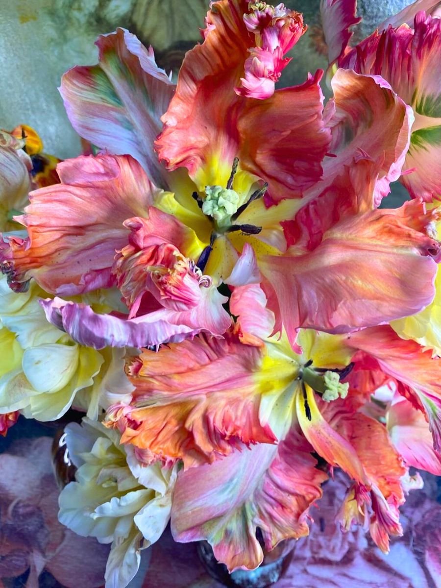Tulipano Pappagallo Artificiale in poliestere - Sconti per Fioristi e Aziende .