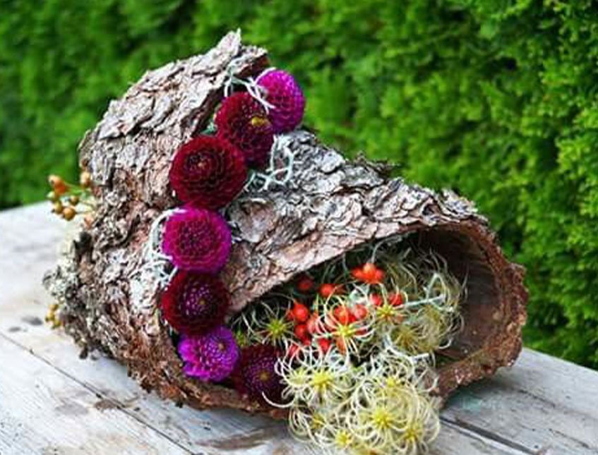 Corteccia di Betulla Naturale cm.70x25 Conf. 5 pannelli Sconti per Fioristi, Wedding e Aziende .