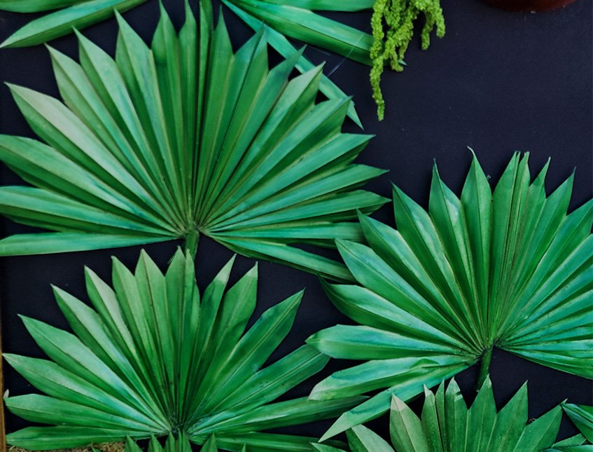 Quadro 100 X 100 Jungle  - Sconto per Fioristi e Aziende Fiorissima - con disidratati e preservati