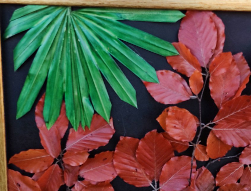 Quadro 100 x 100 Tropical - Sconto per Fioristi e Aziende Fiorissima - con stabilizzatie preservati