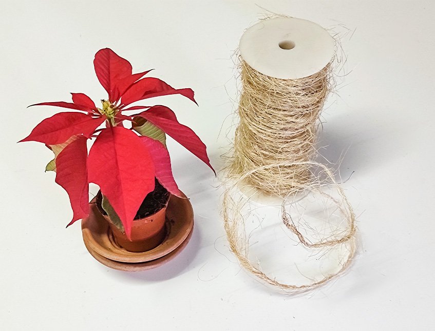 Nastro in canapa Naturale - Sconto per Fioristi e Aziende - Rotolo da  mt.10 Animato