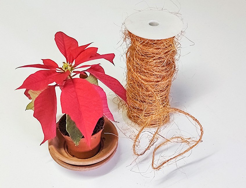 Nastro in canapa Naturale - Sconto per Fioristi e Aziende - Rotolo da  mt.10 Animato