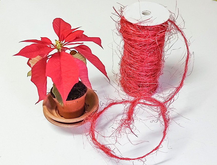 Nastro in canapa Naturale - Sconto per Fioristi e Aziende - Rotolo da  mt.10 Animato