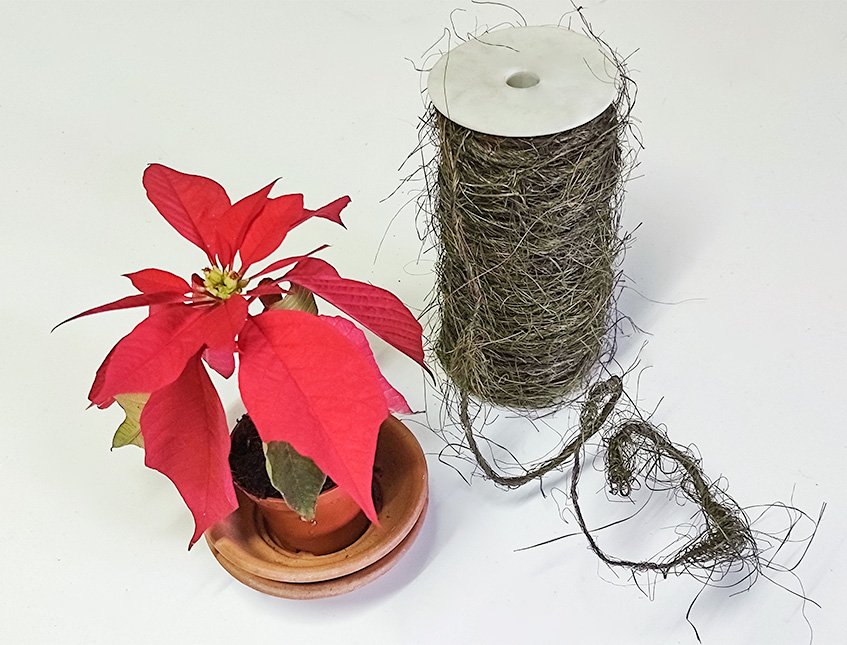 Nastro in canapa Naturale - Sconto per Fioristi e Aziende - Rotolo da  mt.10 Animato