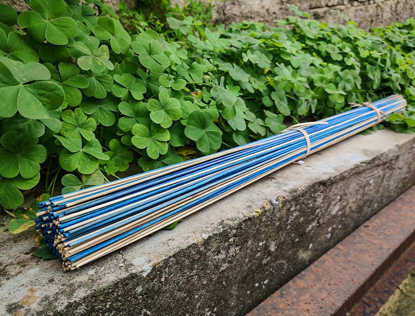 Mazzo midollino steso H 70 - Sconto per Fioristi e Aziende - Mazzo 500 gr. Bicolor