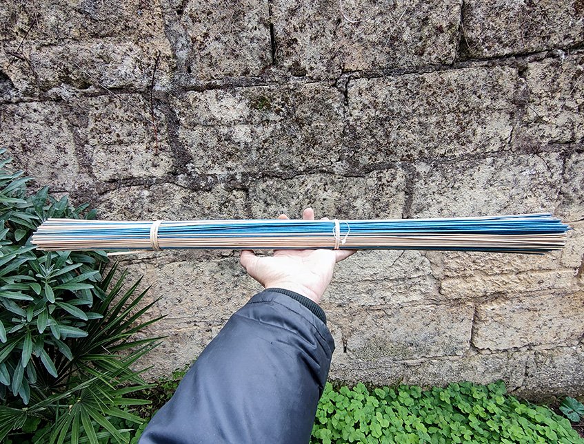 Mazzo midollino steso H 70 - Sconto per Fioristi e Aziende - Mazzo 500 gr. Bicolor