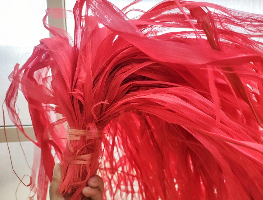 Ciuffo scheletrico H 80 - Sconto per Fioristi e Aziende - due colori