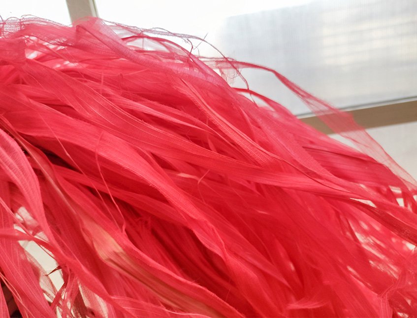 Ciuffo scheletrico H 80 - Sconto per Fioristi e Aziende - due colori