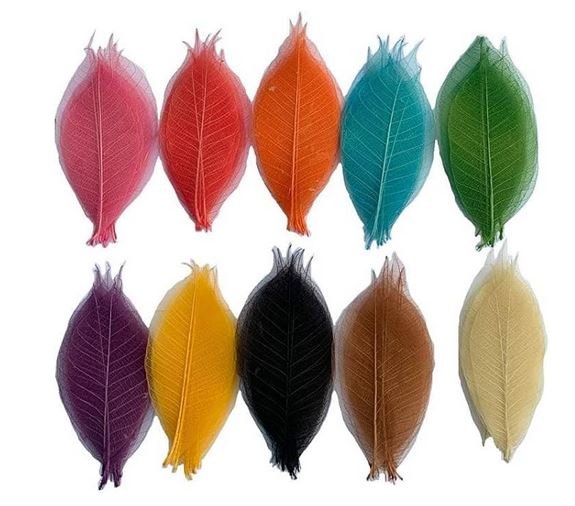 Foglie Scheletrite a cuore x 100 naturali colorate - Sconti per Fioristi e Aziende