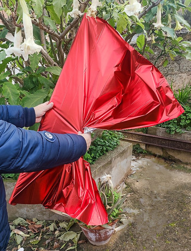 Bobina stesa H 100 x 20 Mt.  - Sconti per Fioristi e Aziende - HD Metal