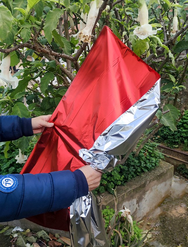 Bobina stesa H 100 x 20 Mt.  - Sconti per Fioristi e Aziende - HD Metal