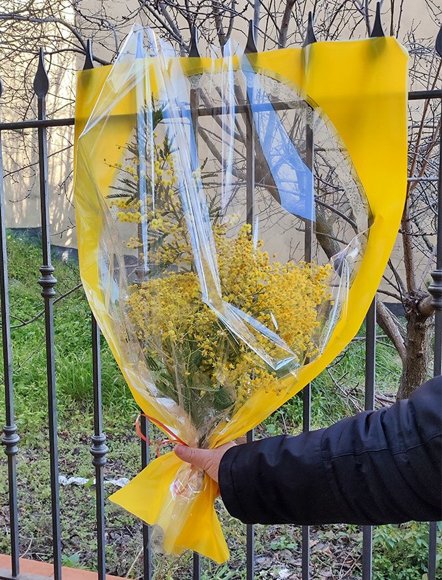 Mazzo mimosa fresca H 100 - ESAURITA - in cellofan cornice gialla