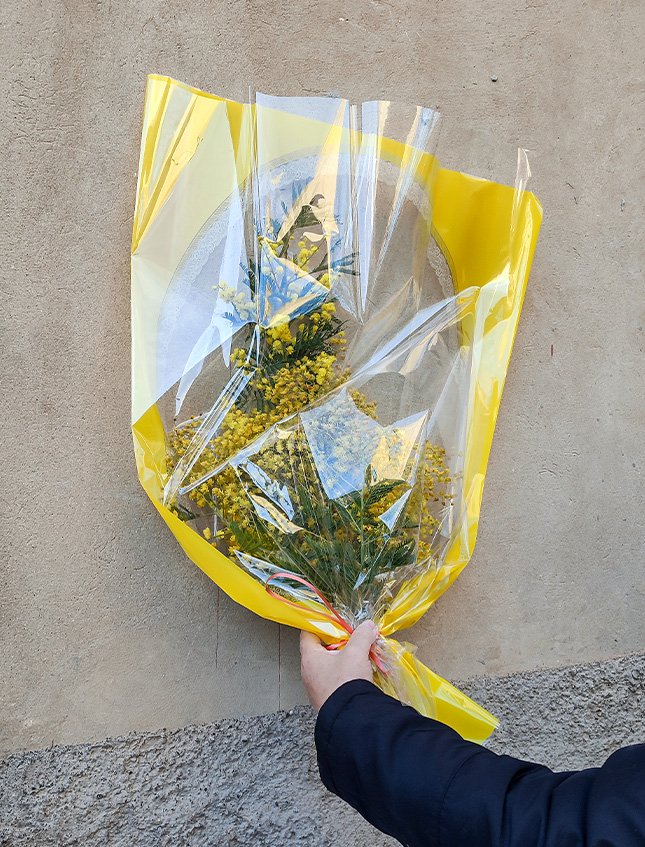 Mazzo mimosa fresca H 100 - ESAURITA - in cellofan cornice gialla