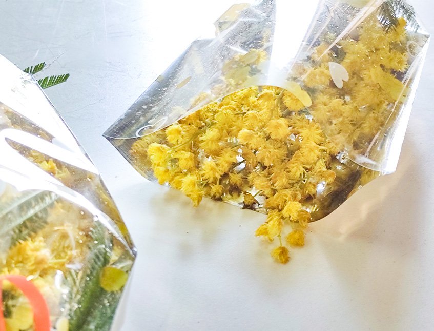 ESAURITA Mazzo mimosa fresca H 30 - Sconto per Fioristi e Aziende - Conf.  x 20 mazzi in cellofan stampato