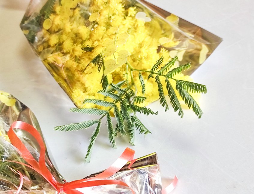 ESAURITA Mazzo mimosa fresca H 30 - Sconto per Fioristi e Aziende - Conf.  x 20 mazzi in cellofan stampato