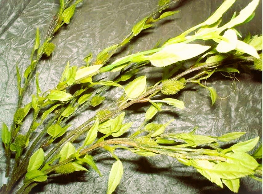 Germoglio x 4 artificiale H 84 - Sconti per Fioristi e Aziende . - In poliester