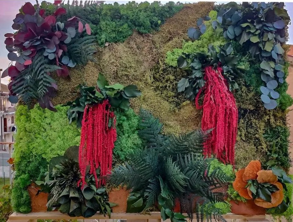 Giardini Vegetali Preservatii - Sconti per Fioristi e Aziende . - Adatto per Interno