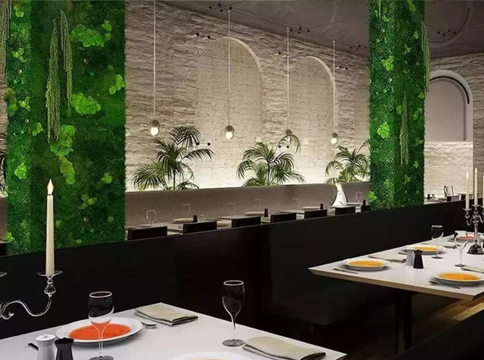 Giardini Vegetali Preservatii - Sconti per Fioristi e Aziende . - Adatto per Interno