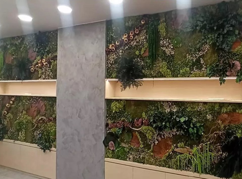 Giardini Vegetali Preservatii - Sconti per Fioristi e Aziende . - Adatto per Interno
