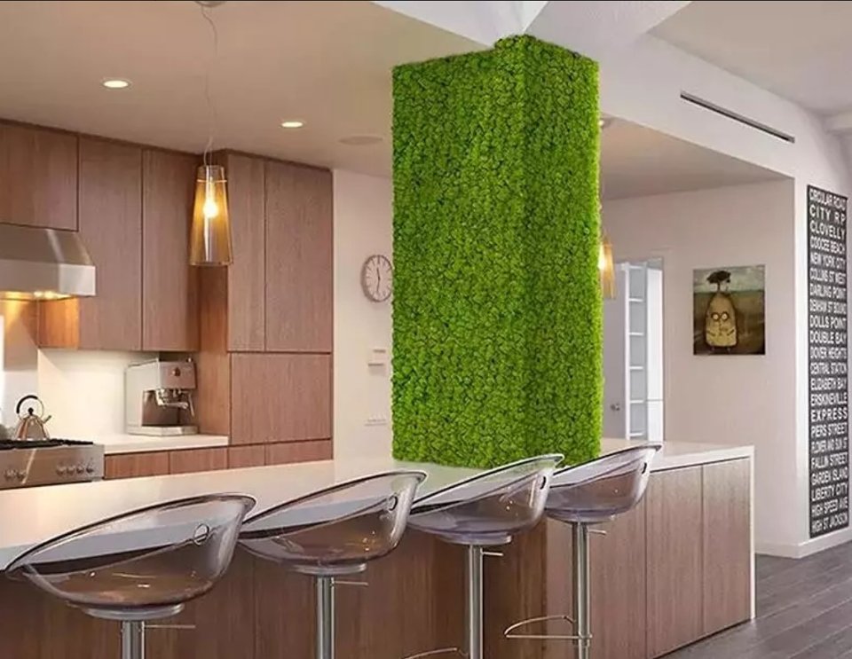 Parete Moss Stabilizzata - Sconti per Fioristi e Aziende . - Wall Moss a metro quadrato