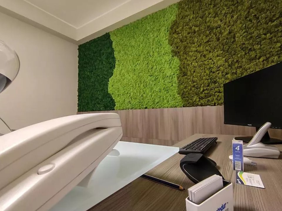 Parete Moss Stabilizzata - Sconti per Fioristi e Aziende . - Wall Moss a metro quadrato
