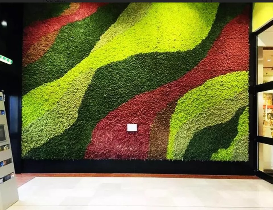 Parete Moss Stabilizzata - Sconti per Fioristi e Aziende . - Wall Moss a metro quadrato