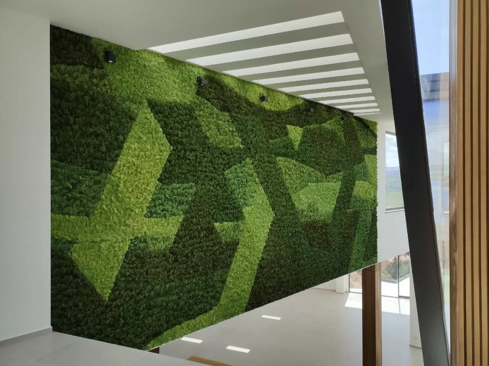 Parete Moss Stabilizzata - Sconti per Fioristi e Aziende . - Wall Moss a metro quadrato