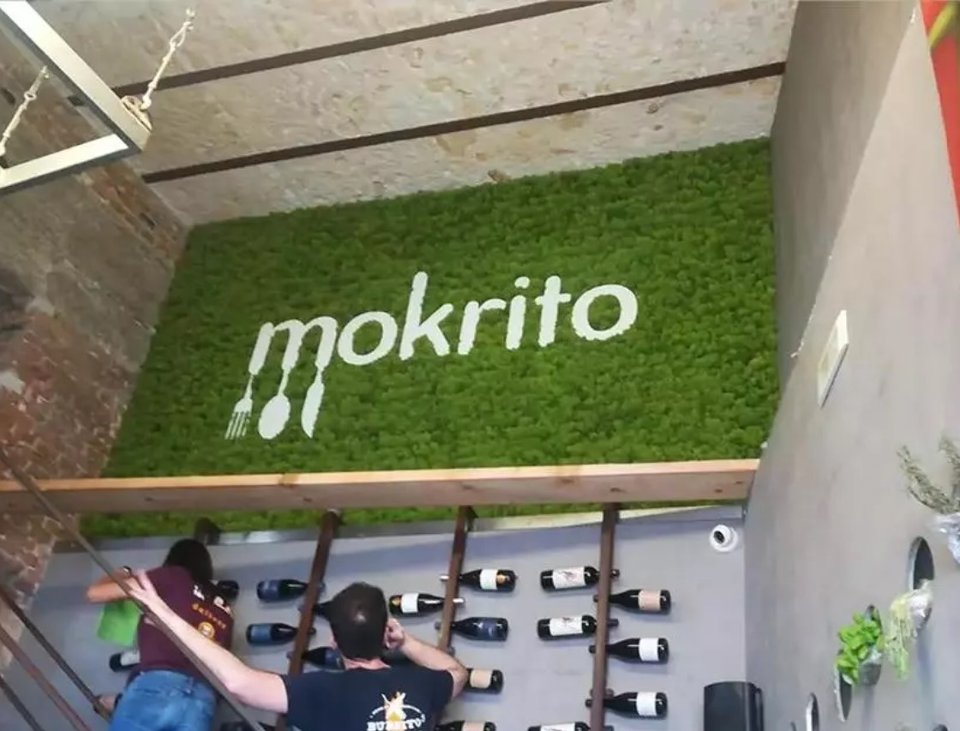 Parete Moss Stabilizzata - Sconti per Fioristi e Aziende . - Wall Moss a metro quadrato