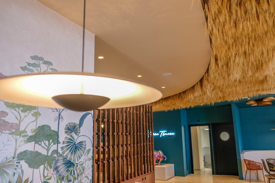 Soffitto Spighe di grano preservate per Ristoranti, Hotels e Resort . - a metro quadrato