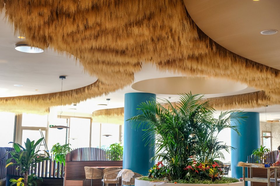Soffitto Spighe di grano preservate per Ristoranti, Hotels e Resort . - a metro quadrato