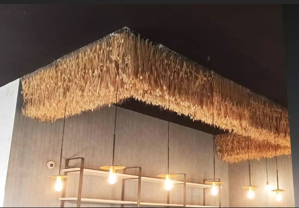 Soffitto Spighe di grano preservate per Ristoranti, Hotels e Resort . - a metro quadrato