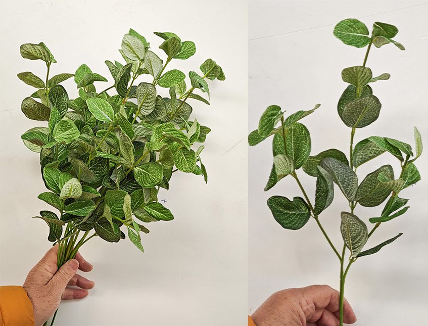 Fittonia spray x 3  - Sconti per Fioristi e Aziende - H 45 In poliester