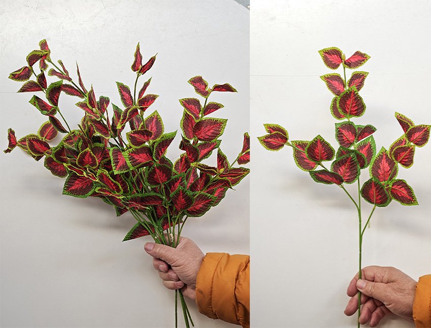 Coleus spray x 3  - Sconti per Fioristi e Aziende - H 45 In poliester