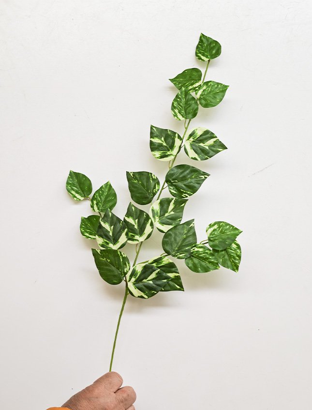 Ramo Pothos x 3  - Sconti per Fioristi e Aziende - H 55 In poliester