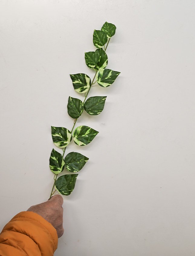 Ramo Pothos x 1  - Sconti per Fioristi e Aziende - H 55 In poliester