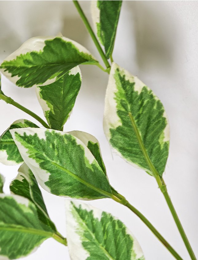 Osmantus spray x 3  - Sconti per Fioristi e Aziende - H 45 In poliester