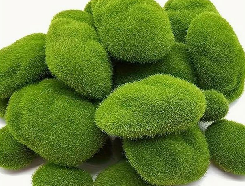 Ball Moss x 2 sintetico cm. 22X22 + CM.15/25 - Sconti per Fioristi e Aziende e Wedding