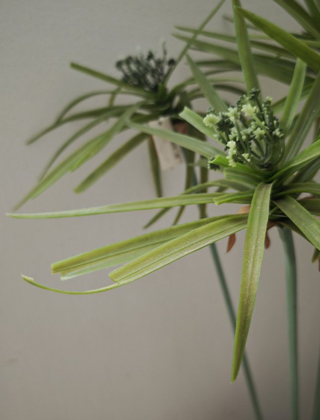 Papiro Artificiale in gomma H 107 - Sconto per Fioristi e Aziende . - con 24 foglie