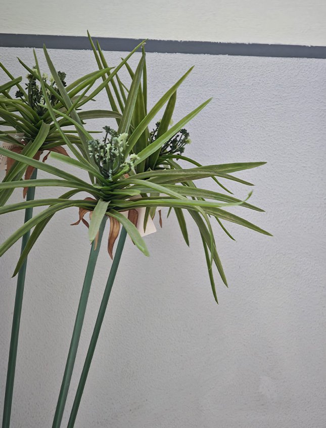 Papiro Artificiale in gomma H 107 - Sconto per Fioristi e Aziende . - con 24 foglie