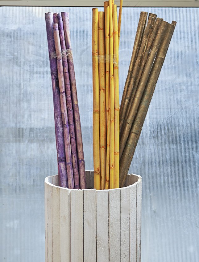 Canne Bamboo H 100 dm.2.5 - Sconti per Fioristi e Aziende . - Mazzo d 10 canne