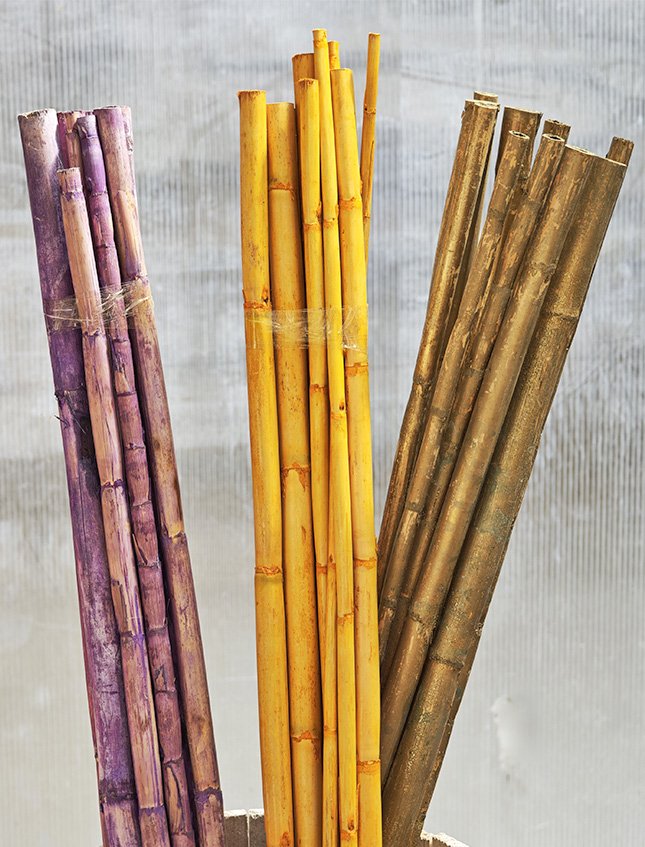 Canne Bamboo H 100 dm.2.5 - Sconti per Fioristi e Aziende . - Mazzo d 10 canne