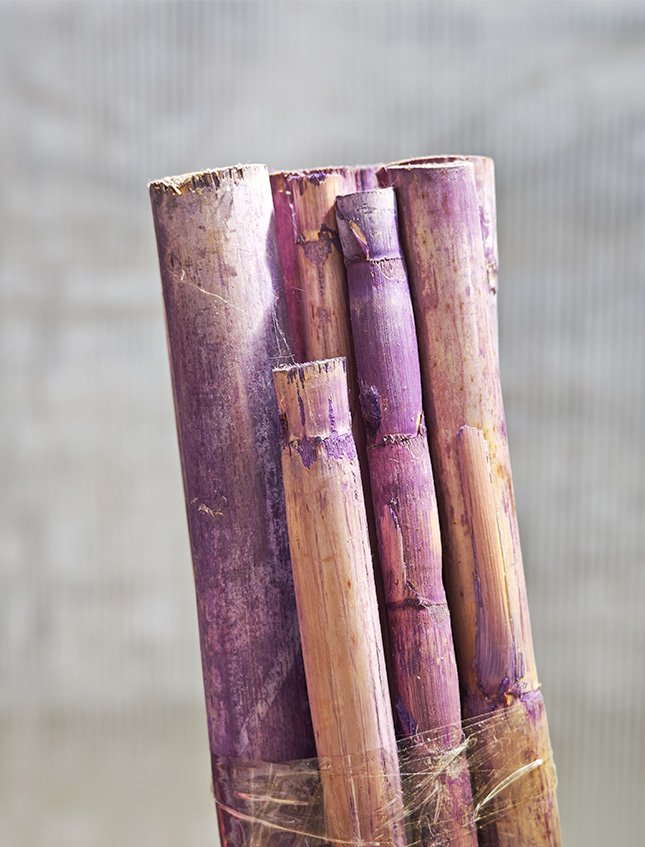 Canne Bamboo H 100 dm.2.5 - Sconti per Fioristi e Aziende . - Mazzo d 10 canne