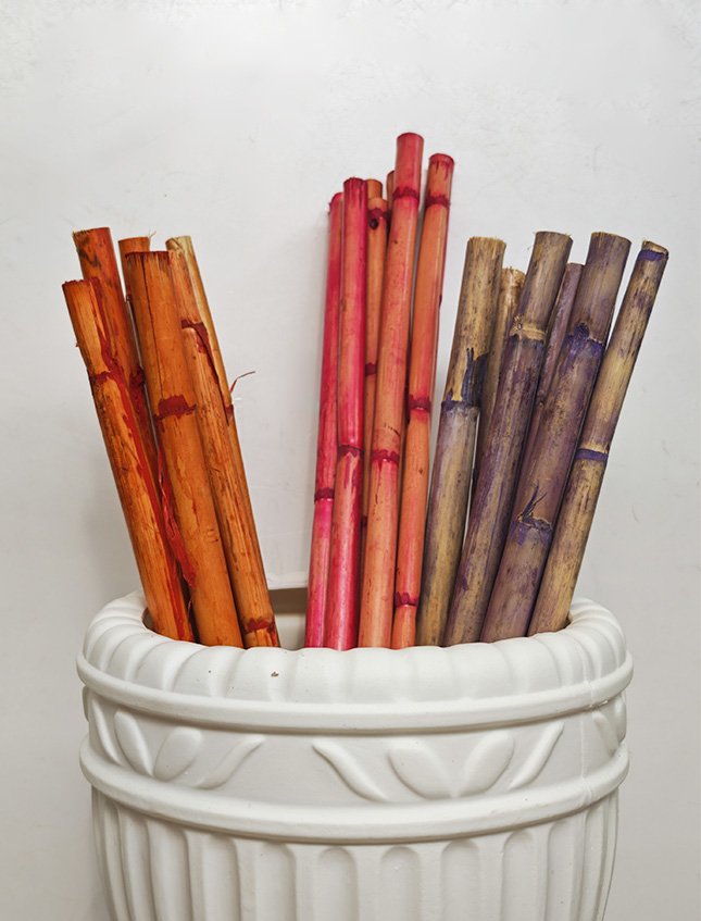 Canne Bamboo H 50 dm.3,3 - Sconti per Fioristi e Aziende . - Mazzo d 10 canne