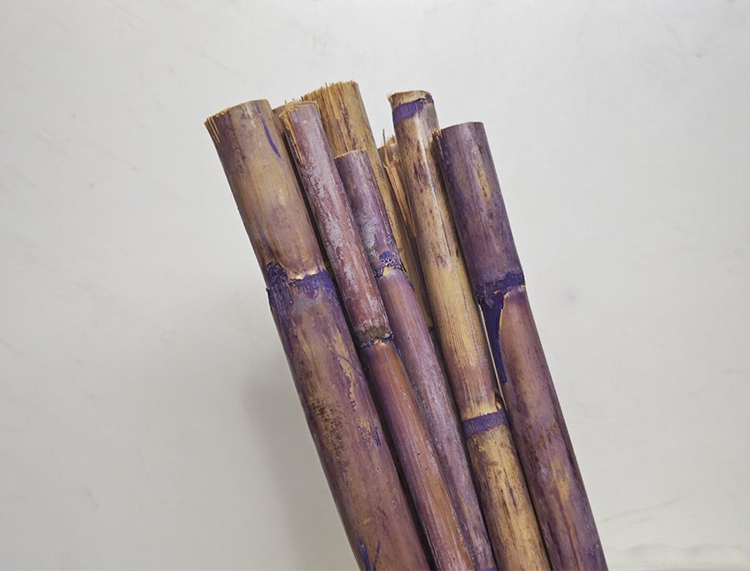 Canne Bamboo H 50 dm.3,3 - Sconti per Fioristi e Aziende . - Mazzo d 10 canne