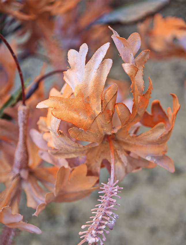 Hibiscus Artificiale H 60 - Sconto per Fioristi e Aziende - Diversi colori