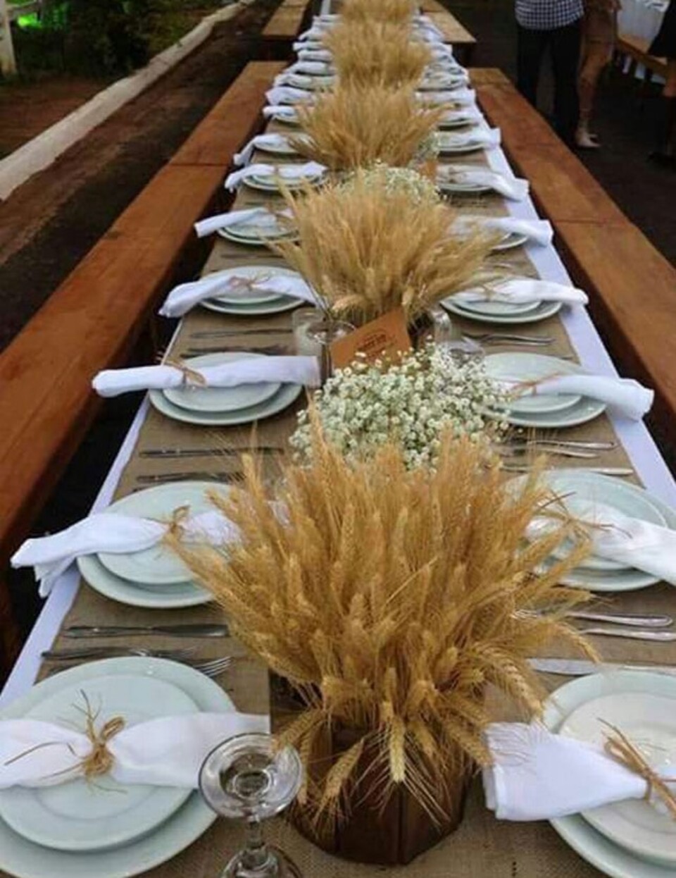 Spighe di grano stabilizzato mazzo 100 steli - Sconti per Fioristi e Aziende