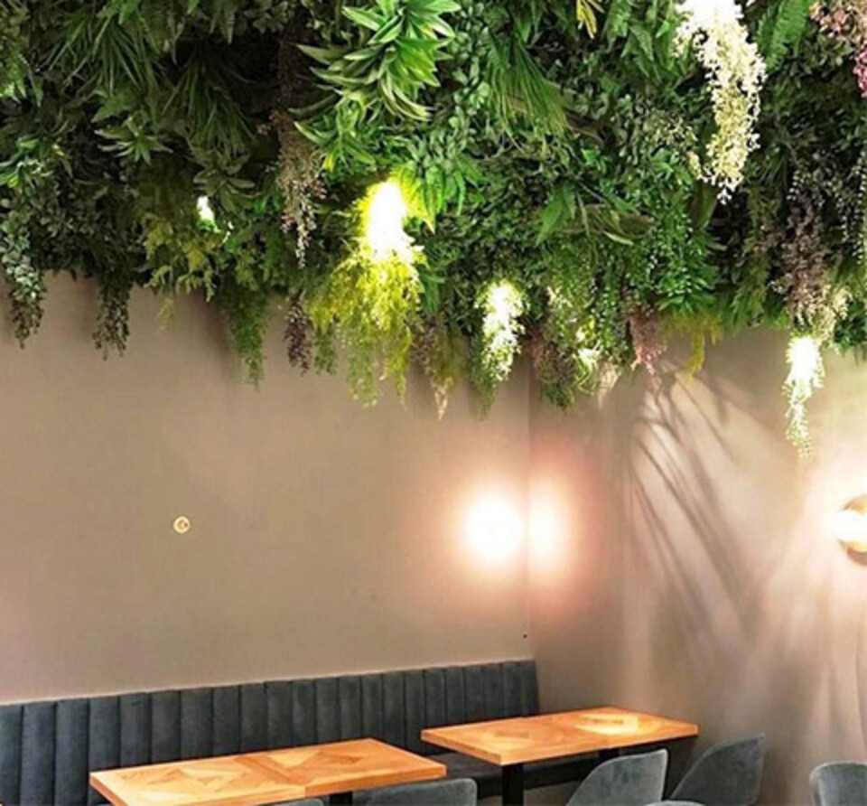 Soffitto con Vegetali Verdi Cadenti - Sconto per Fioristi e Aziende - Per esterno ed interno