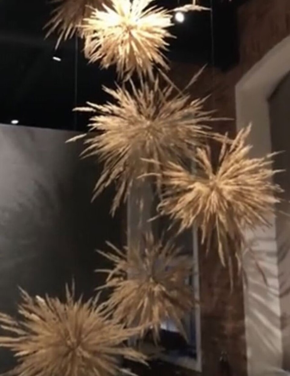 Soffitto Spighe di grano preservate per Ristoranti, Hotels e Resort . - a metro quadrato