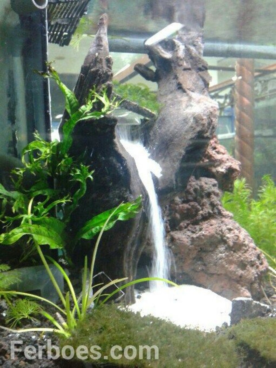 Cascata a Parete con Vegetali Preservati - Sconto per Rivenditori e Aziende Fiorissima - Per interno